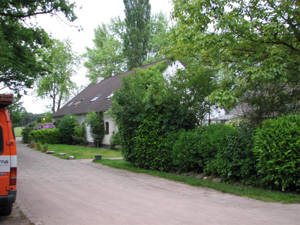 IMG_6200 (Large).jpg